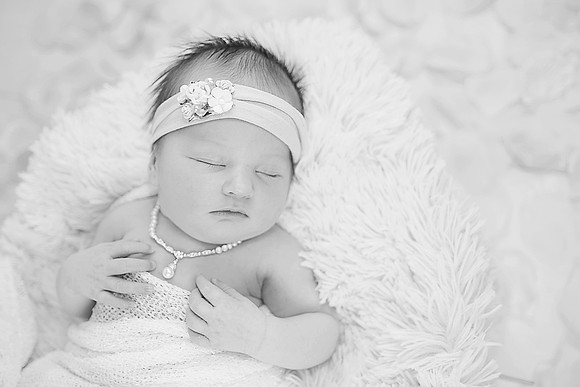 0650bw copy